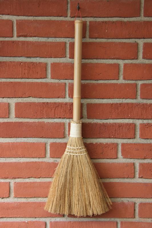 IMG_0021.jpg - kost. -- Broom.