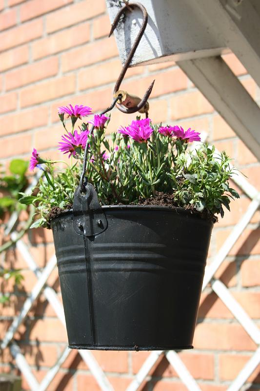 IMG_0028.jpg - Spand med blomster ved døren. -- Bucket of flowers at the door.