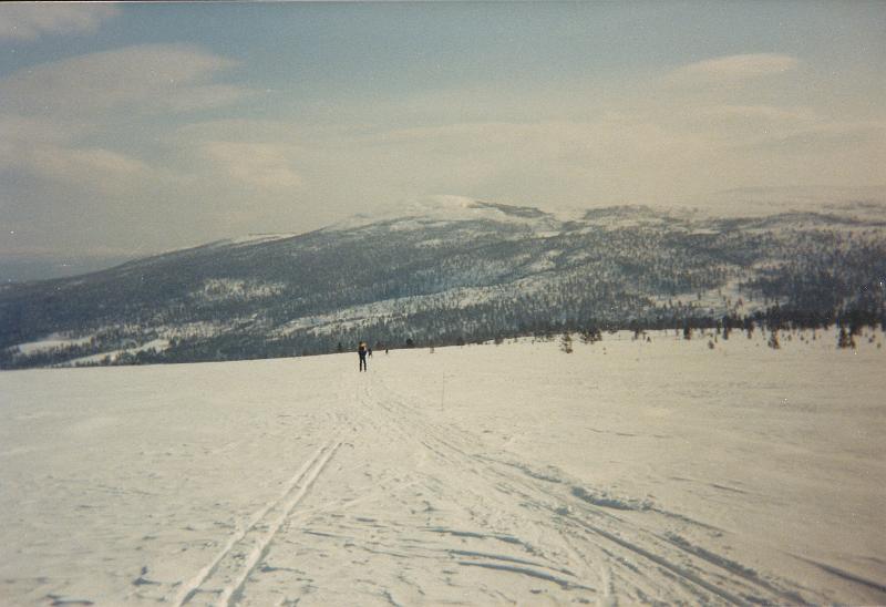IMG_0004.jpg