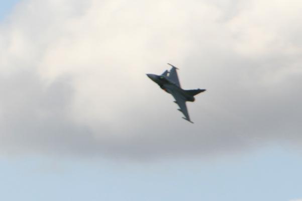 IMG_0213.jpg - Gripen JAS 39